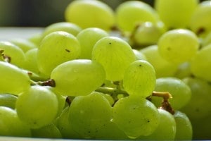 Nashik grape, grape cracking, Nashik cold,