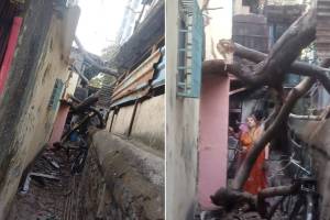 house damaged by falling tree branch in goregaon