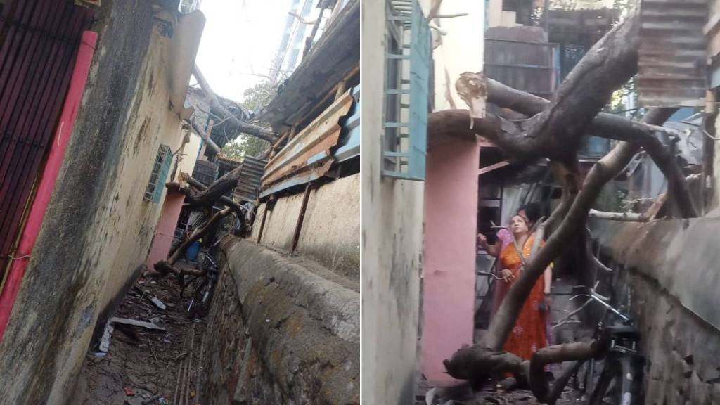 house damaged by falling tree branch in goregaon