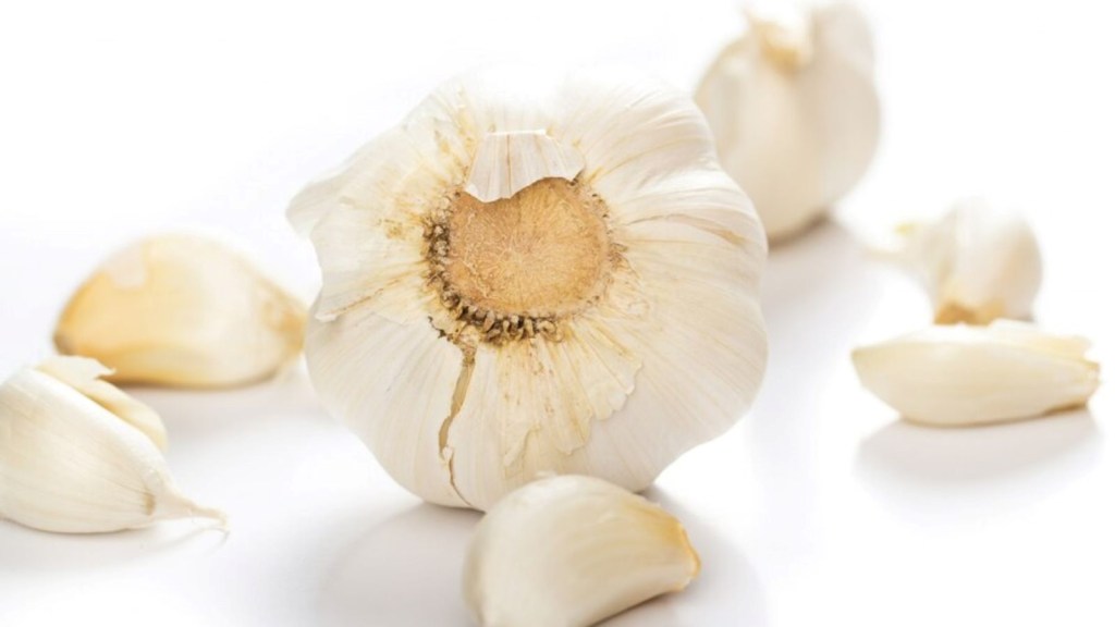 garlic