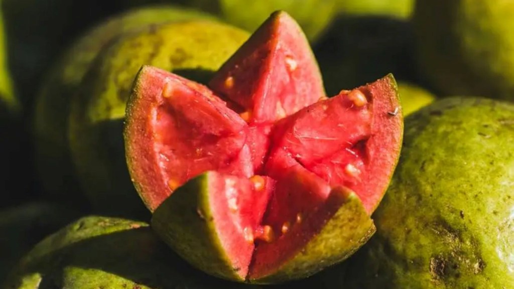 Red Guava