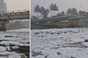 Indrayani river is foaming in Alandi