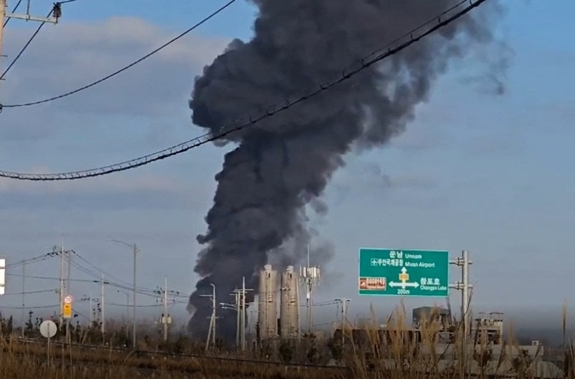 Bird strike plane crash