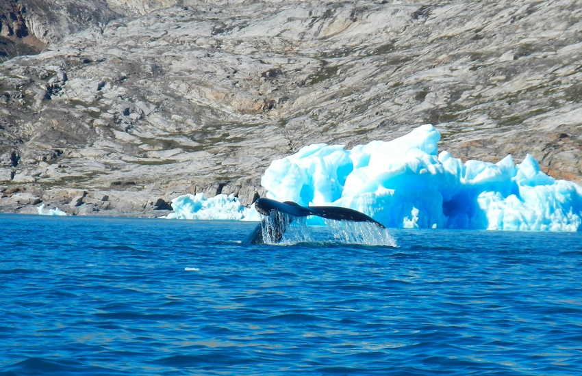 Greenland