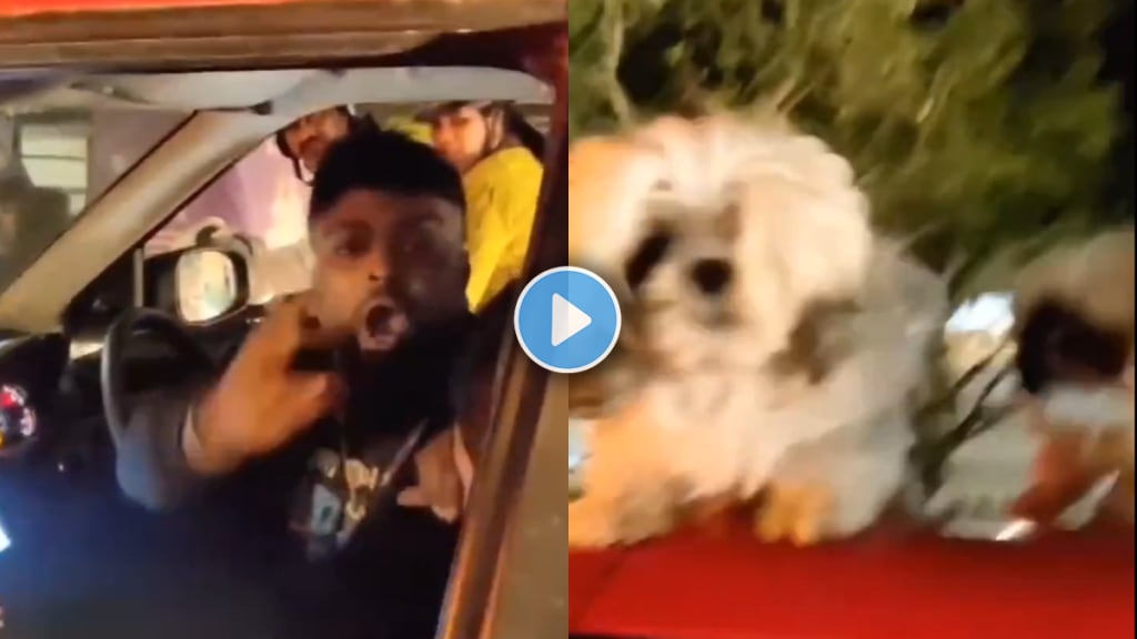 Man drives a car with 3 dogs on car roof abused motorist after questioned him arrested by police viral video