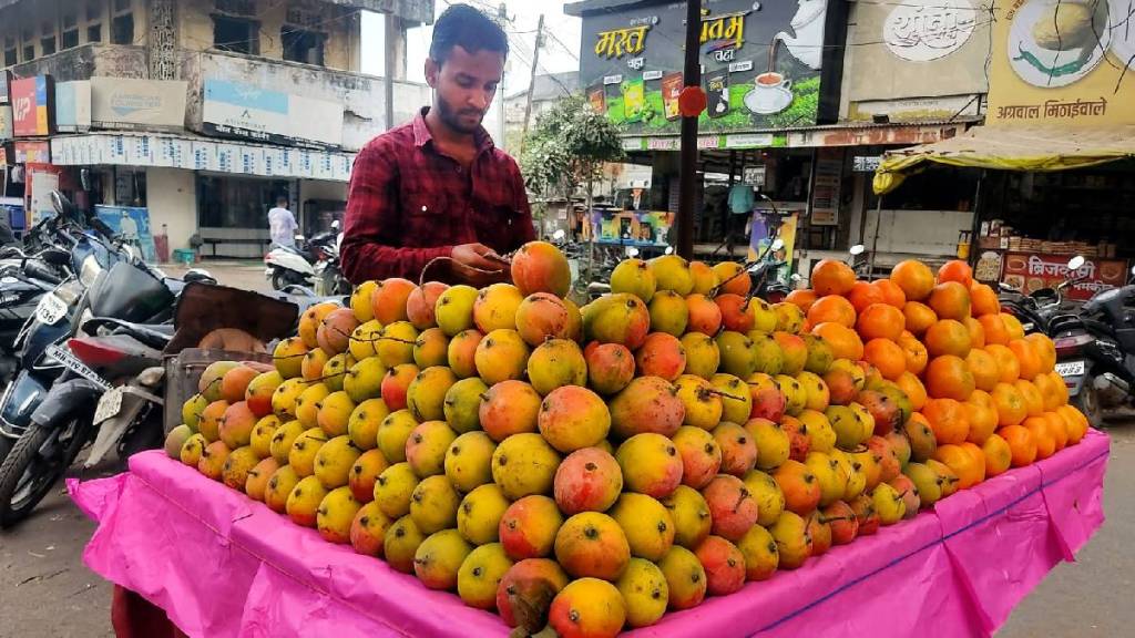 Lalbaug mangoes from Karnataka arrive in Jalgaon in December