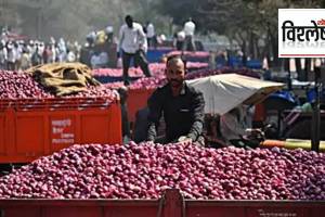 onion export duty issues, onion prices, farmers