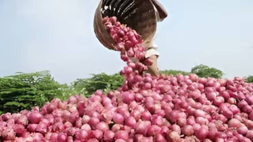 There has big fall in onion prices in market committees in Nashik