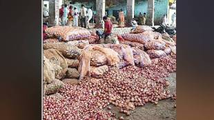 Onion prices drop by Rs 1500 per quintal in four days