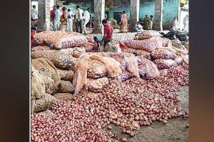 Onion prices drop by Rs 1500 per quintal in four days