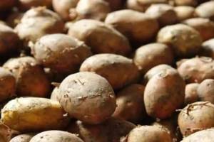 price of potatoes increased up to rs 10 per kg due to supply restrictions from west bengal