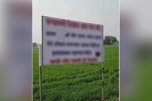 puneri pati puneri poster viral about Funny poster about Toilet in farm warning on social media