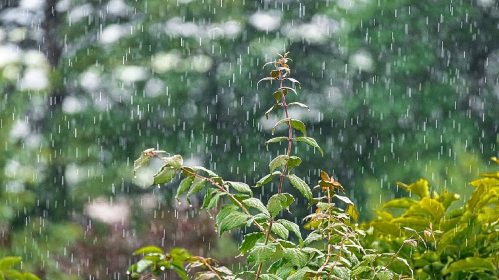 Light showers forecast in Mumbai Thane Palghar due to Fengal Cyclone Rain in some areas