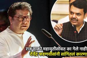 raj thackeray cm devendra fadnavis