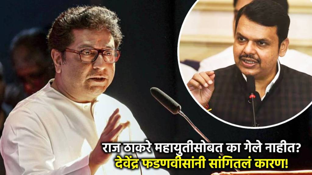 raj thackeray cm devendra fadnavis