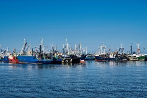 Mora port, Signature campaign, Mora port news,