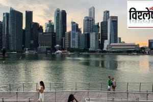 singapore is going extinct