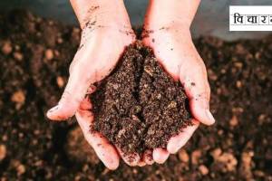 how to take care of soil