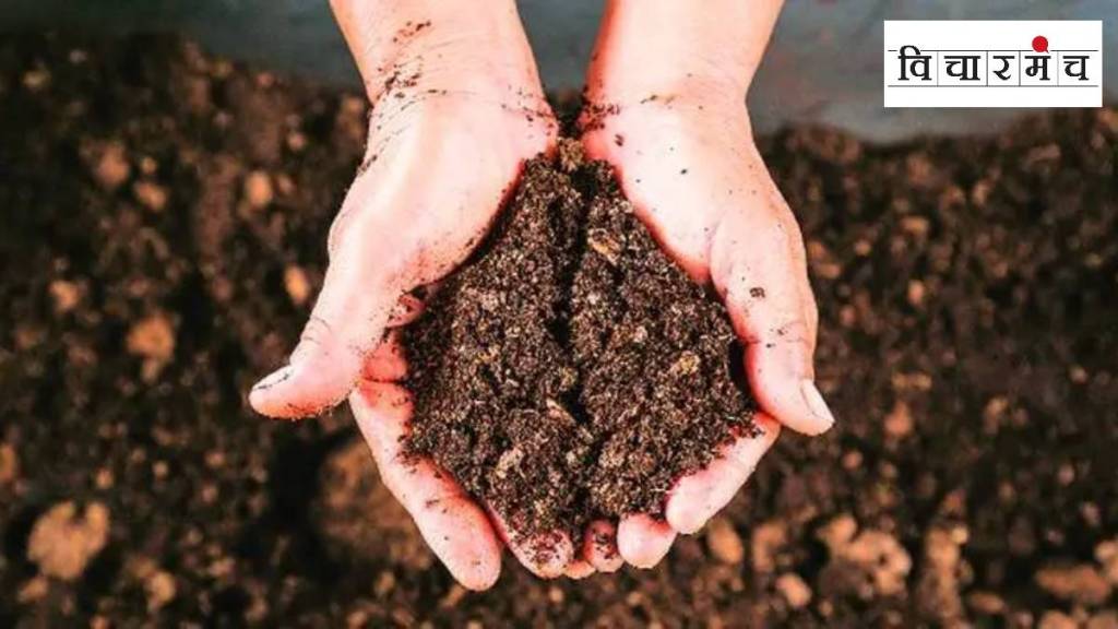 how to take care of soil