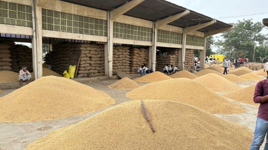 traders soybean goods are kept in sheds and farmers goods are kept in open place in market committee in yavatmal