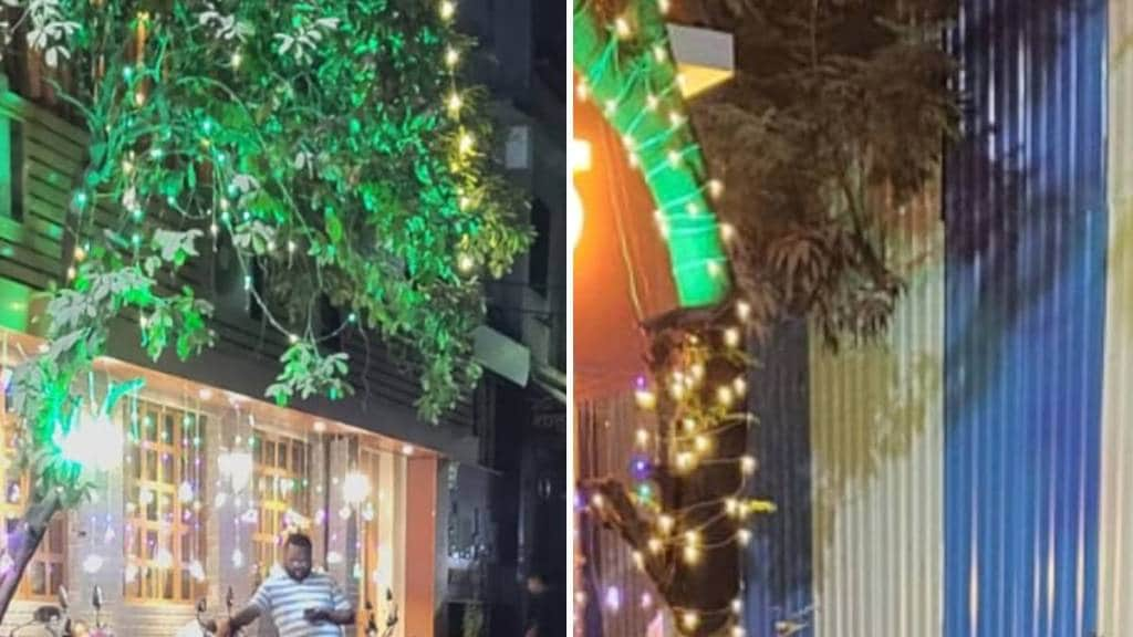 kdmc garden department warns action against decorative lighting on trees on occasion of the new year