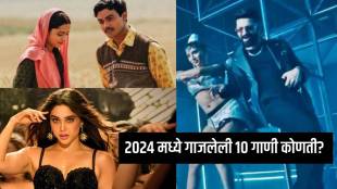 Year Ender 2024 Top 10 Bollywood Songs