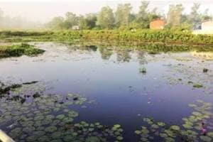 wetland lake maintenance