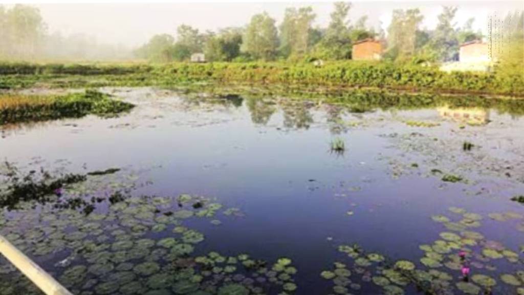 wetland lake maintenance