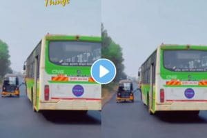 a unique friendship between a city bus and an auto rickshaw