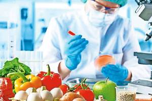 Job Opportunities in Agriculture Sector Agri Food Technology Sector Production Capacity