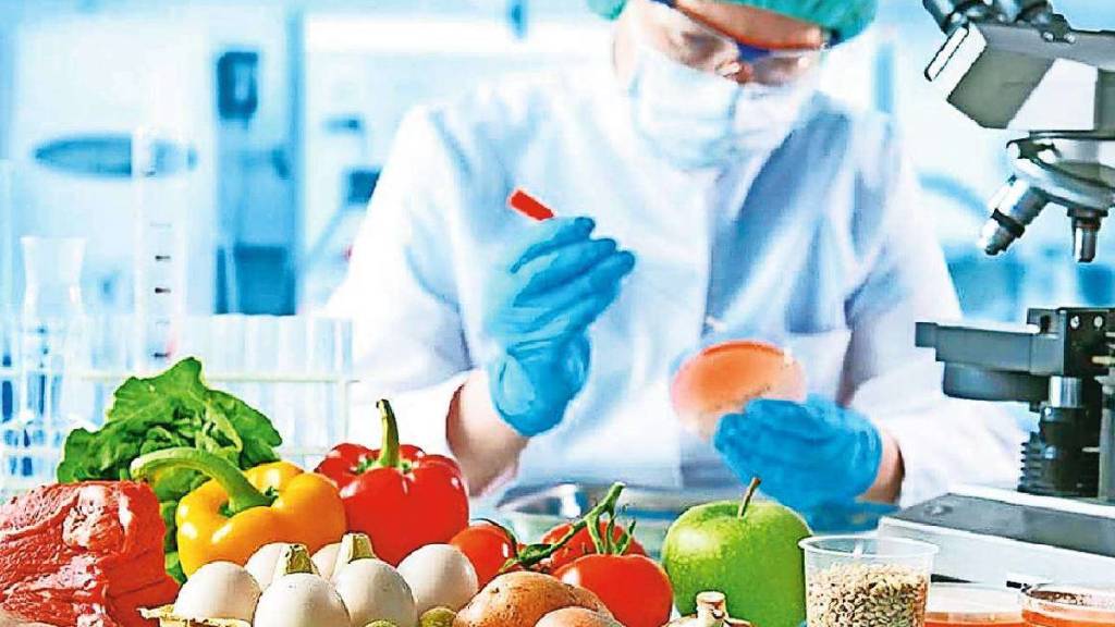 Job Opportunities in Agriculture Sector Agri Food Technology Sector Production Capacity