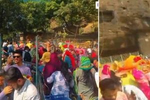 Bees attack devotees at Aai Ekvira fort