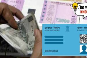 How To Check Outstanding Loans Linked To PAN Card Online in Marathi