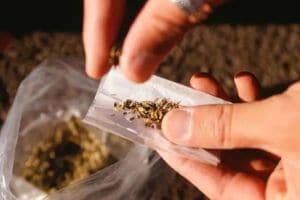 Residents of Dombivli are troubled by ganja den in Maharashtranagar