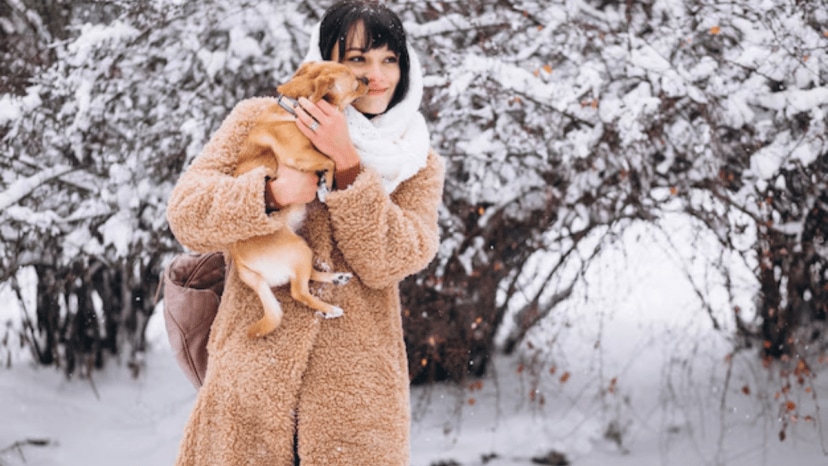 How often should you bathe your pets in winter experts weigh