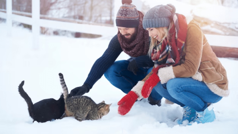 How often should you bathe your pets in winter experts weigh