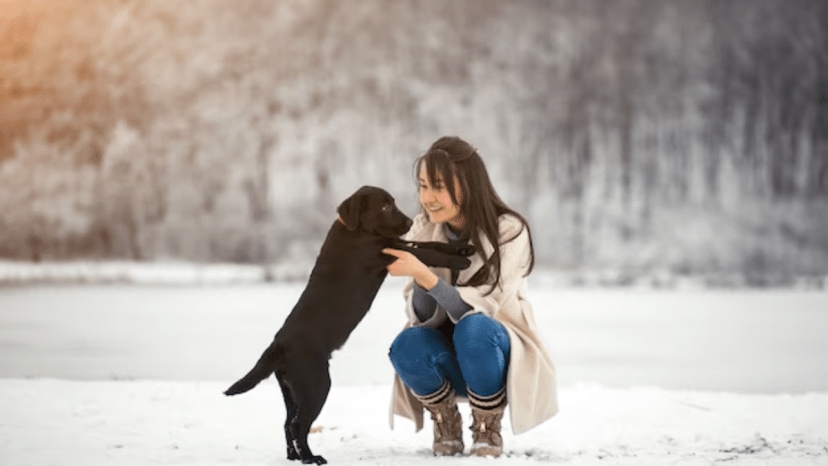 How often should you bathe your pets in winter experts weigh