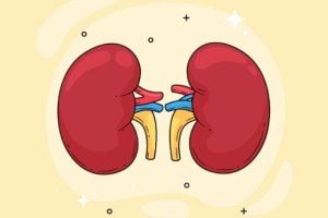 Kidney Good Health Tips