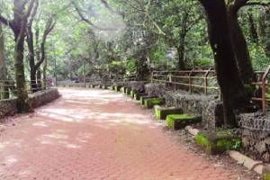 Paver blocks in Matheran make it difficult for horses to walk