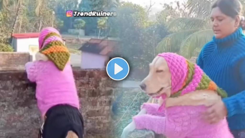 Mom Dress up the dog with a hat and sweater