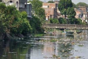 Efforts to free c River from pollution once again in new year