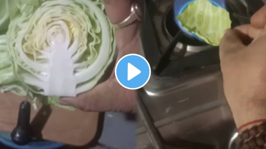 Viral video artificial vegetables cabbage selling in market Shocking video goes viral on social media