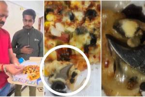 piece of knife found in pizza has taken place in Pimpri Chinchwad