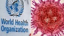 HMPV Virus : HMPV व्हायरसच्या प्रादुर्भावाबाबत WHO नं दिली मोठी अपडेट; जगभरातल्या नागरिकांना दिलासा!