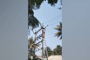 nashik banned nylon manja caused fatalities and power outages