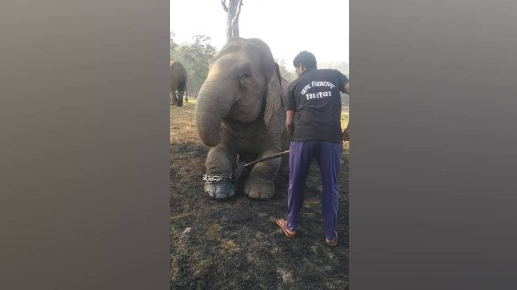 The 'Elephant Camp' is currently closed for ten days, as the elephants are currently on holiday