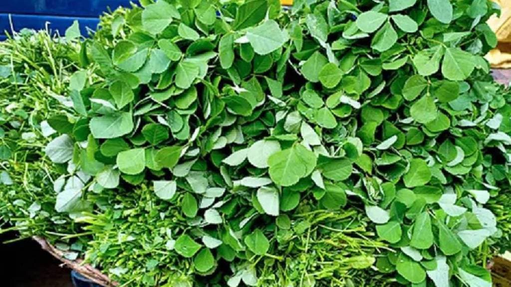 way of chopping and cleaning methi leaves