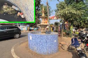 fountain , Chandrapur , mosquitoes,