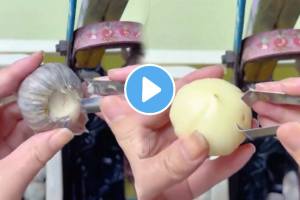 Unique way to remove peel garlic The Best Way to Easily Peel Garlic