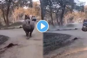 Horrible incident at the Kaziranga National Park in Assam shocking video